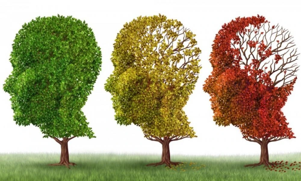 Αλτσχάιμερ: Γίνεται χωρίς συμπτώματα; Γιατί ο εγκέφαλος ορισμένων ανθρώπων είναι ανθεκτικός στη νόσο